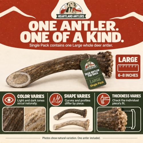 Heartland Antlers Whole Deer Antler Dog Chew for Aggressive Chewers - style: Large (Dogs 45-65 lbs)
