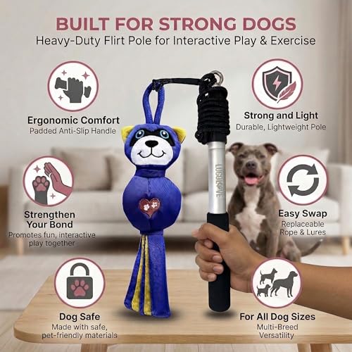 Flirt Pole for Dog Heavy Duty 35 Inch Teaser Wand with Raccoon Toy - color: Raccoon