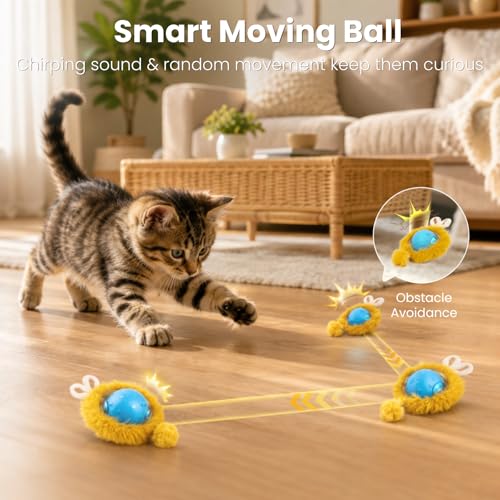 HGB Interactive Cat Toy with Automatic Moving Ball & Hunting Play Mat