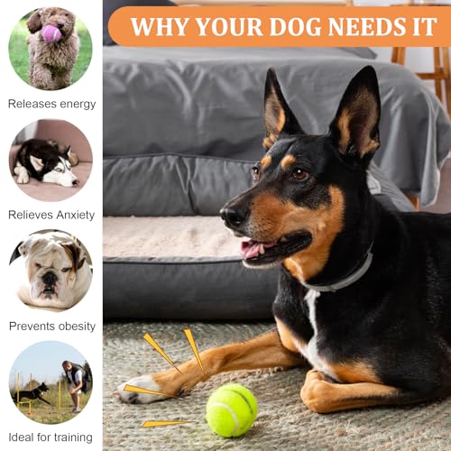 20Pcs Small Tennis Balls for Dogs, 2 Inch Mini Dog Training Tennis Balls