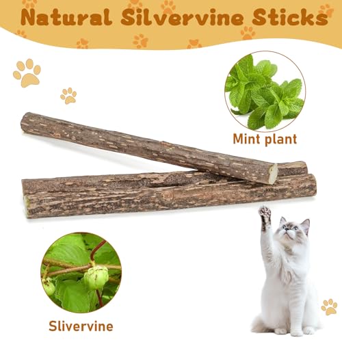 WoLover 25 PCS Silvervine Sticks for Cat, Natural Matatabi Chew Toys - size: 25 Count