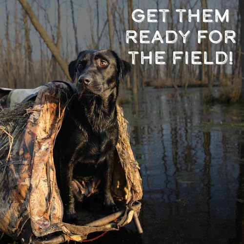 Dog Training Scent for Hunting Dogs - Great Nosework for a Duck or Bird Dog - style: Duck