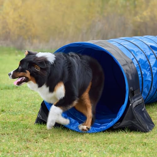 24 in 10 Foot Extra Large PVC Dog Agility Tunnel with Sandbags Blue - color: Blue, size: 24in X 10ft