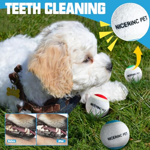 X-Small Dog Tennis Balls Dog Toys Ball 1.72" Pack of 12, Fit Ball Launchers - color: 3 Colors tennis balls