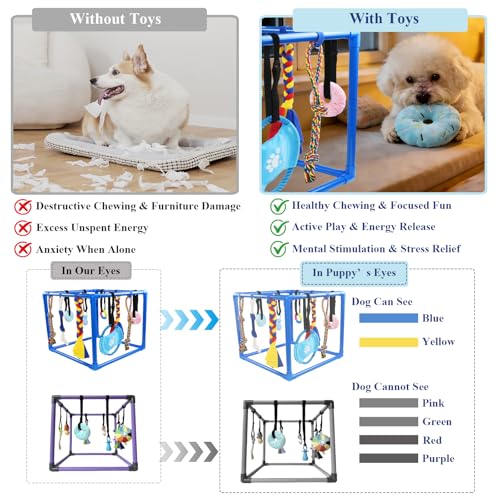ASOCEA Puppy Play Gym for Small Dogs – Interactive Jungle Gym with 10 Hanging Toys, Adjustable Height, Safe PVC Frame for Indoor Puppy Entertainment, Teething & Mental Stimulation