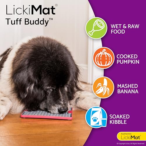 LickiMat Tuff Buddy Slow Feeder Lick Mat for Dogs, Turquoise, Boredom Aid - color: Turquoise