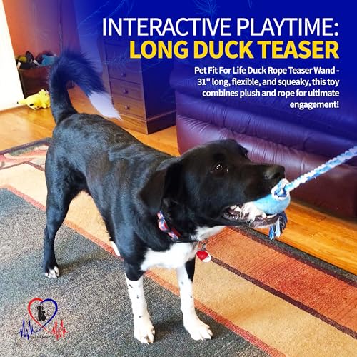 Pet Fit For Life 31" Flirt Pole for Dogs with Plush Duck Squeaky Toy - style: Duck Wand (Attachment Not Interchangeable)