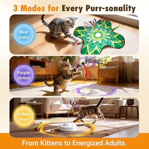 Interactive Indoor Cat Toy, Rechargeable Touch Automatic Hide and Seek Mat