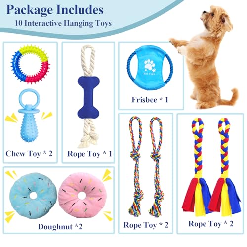 ASOCEA Puppy Play Gym for Small Dogs – Interactive Jungle Gym with 10 Hanging Toys, Adjustable Height, Safe PVC Frame for Indoor Puppy Entertainment, Teething & Mental Stimulation