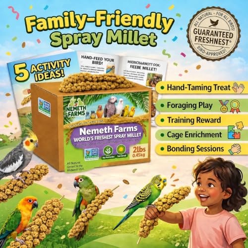Nemeth Farms Spray Millet - Edible Tops Only, Non-GMO and Sun-Dried - 2 lbs for Cockatiels, Lovebirds and Budgies - size: 2 Pound (Pack of 1)