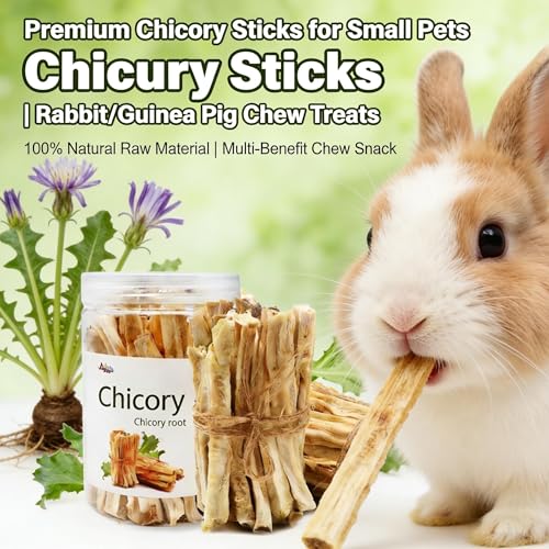 Guinea Pig Chews, Premium Chicory Chew Sticks for Rabbits, Guinea Pig Toys 100% Natural Digestive Aid, Dental Health, Anxiety Relief Chew Toys - Safe Fiber Snack for Rabbit, Chinchilla, Hamster, Rat