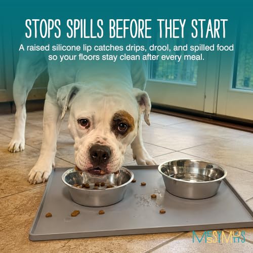 Messy Mutts and Cats Silicone Bowl Mat, Raised Edge, 16 x 12, Grey - color: Grey