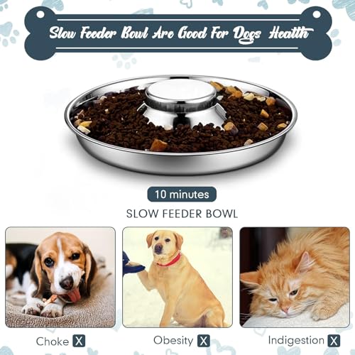 Zopeal 6 Pcs 11.8" Stainless Steel Puppy Bowls Puppy Food Feeding Bowl Dog Food Water Slow Feeder Bowls, Weaning Feeder for Litters, Small Medium Large Dogs, Pets, Multiple Puppies