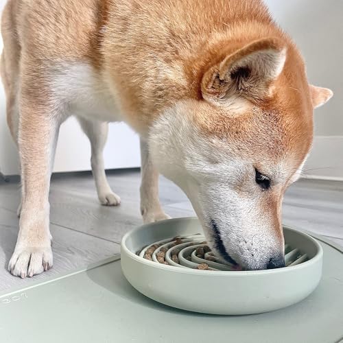 Slow Feeder Dog Bowl - Silicone Dog Bowl, Medium, 7.5" x 1.5" - Sage - color: Sage - Rainbow Design, size: Medium (7.5” Across x 1.5” Tall)