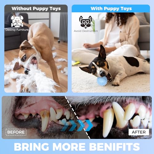 Puppy Toys, 9 Pack Dog Chew Toys, Teething Toys for Small Dogs, Blue - color: Blue, size: X-Small（9Pack）