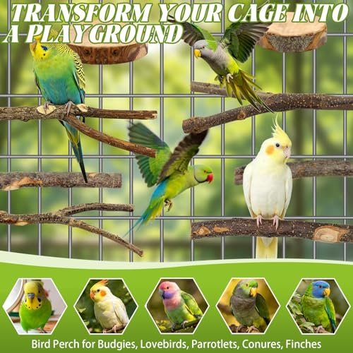 8-Piece Natural Wood Bird Perches for Budgie and Parakeet Cages - size: Core Perch & Platform - 8PCS
