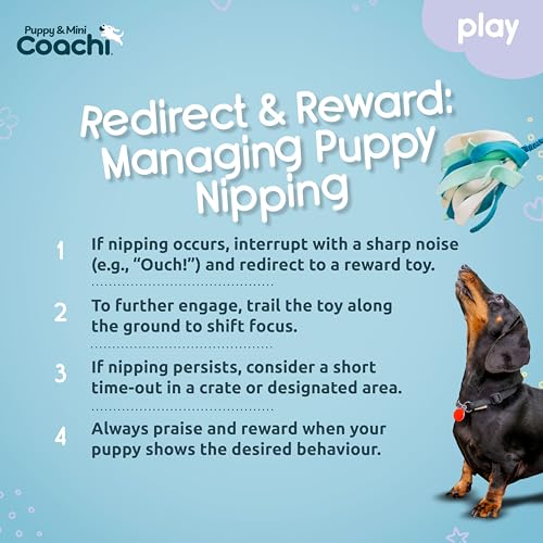 Coachi Puppy & Mini Tuggi Spider - Dog Toy for Tug of War & Play - style: Tuggi Spider