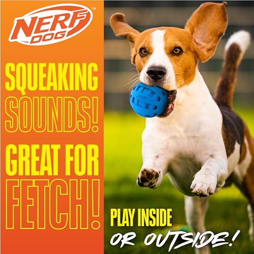 Nerf Dog Rubber Ball Dog Toy with Checkered Squeaker, Lightweight, Durable and Water Resistant, 4 Inch Diameter for Medium/Large Breeds, Single Unit, Blue - size: 4 Inch Blue, style: Checker Squeak