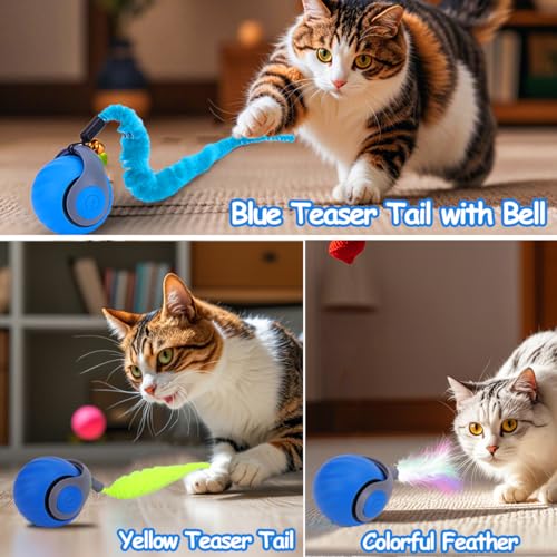 Mity rain Interactive Cat Toy Ball, Rechargeable Cat Toys for Indoor Cats - color: Blue