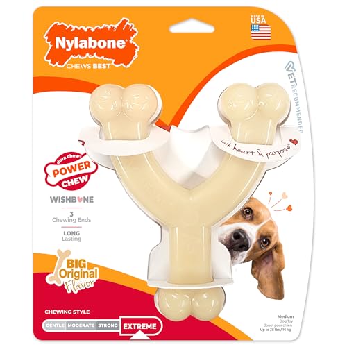 Nylabone Power Chew Wishbone Dog Chew Toy, Original Flavor, Medium - size: Medium (1 Count)