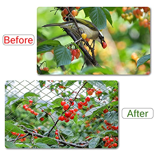 Anti Bird Netting for Garden Woven Mesh - Heavy Duty Protect Plants and Fruit Trees from Rodents Birds Deer Poultry Reusable and Doesn't Tangle (19.5 ft x 40 ft)