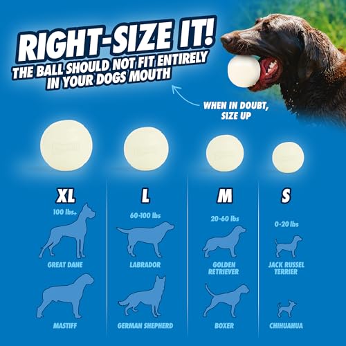 Chuckit! Max Glowin the Dark Bouncy Ball for Dogs, Large 3in, 1 Pack - size: Large