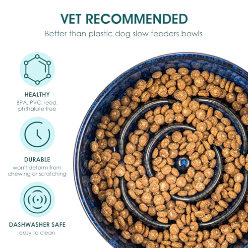 vancasso Slow Feeder Dog Bowl, 0.6 Cup Ceramic Puzzle Dish for Small Breeds - color: Blue, size: S - 0.6 Cups
