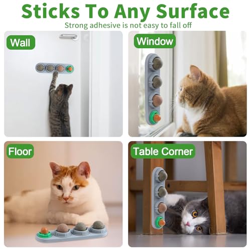 CCINEE Catnip Balls for Cats Wall Catnip Toys Edible Cat Toys for Cat Lick Safe Healthy Kitten Chew Toys Teeth Cleaning Dental Cat Toys(4 Flavor) - color: 4PCS