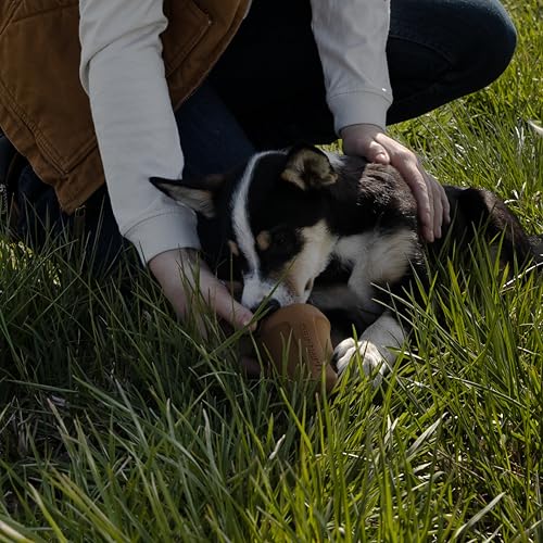 Carhartt Field Rubber Training Dog Pull Carhartt Brown - color: Field Dog Training Pull (Carhartt Brown)