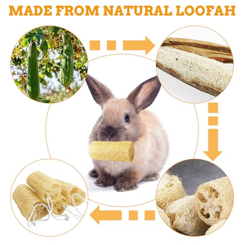 12 Pcs Rabbit Chew Toys Natural Bunny Loofah Chew Toy Chinchilla Teeth Grinding Toys Guinea Pig Fibre-Rich Treats Enrichment Bunny Accessories for Rabbits Hamster (S) - color: S- (12 PCS)