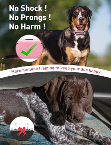 No Shock Dog Training Collar, Beep and Vibrating Dog Collar with Remote 2800Ft, Vibration Collar for Small Medium Large Dogs - No Prongs