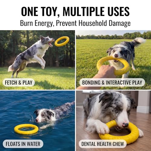 Dog Toys, Dog Chew Toys for Aggressive Chewers,Flying Discs for Medium/Large Breeds. Floating Dog Ring Toys for Throwing, Catching, Grabbing. (Large) - size: Large