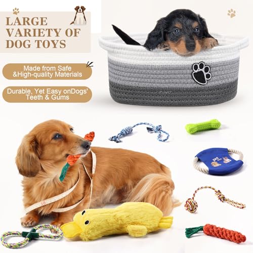 Zopeal Dog Toy Gift Basket Set for Puppy Birthday, Gray - color: Gray