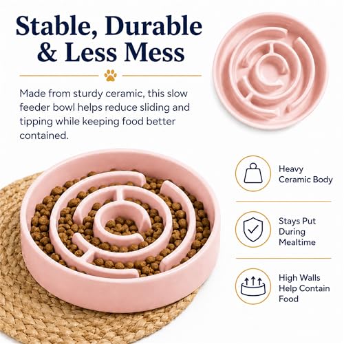 Ceramic Slow Feeder Dog Bowl 1.5 Cup Puzzle Dish for Small Medium Dogs - color: Ceramic-Pink