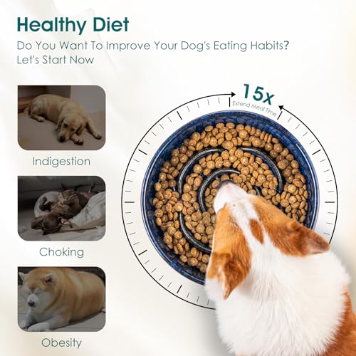 vancasso Slow Feeder Dog Bowl, 1.5 Cup Ceramic Puzzle Dish for Medium Breed - color: Blue, size: M - 1.5 Cups