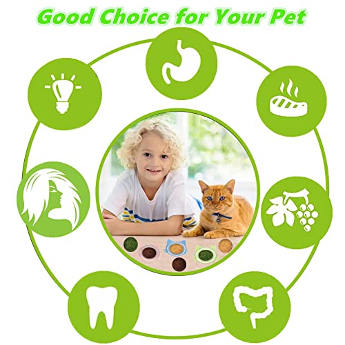 Cat Toys 4PCS Catnip Toy Set 360° Rotating Wall Ball for Kittens - size: Small