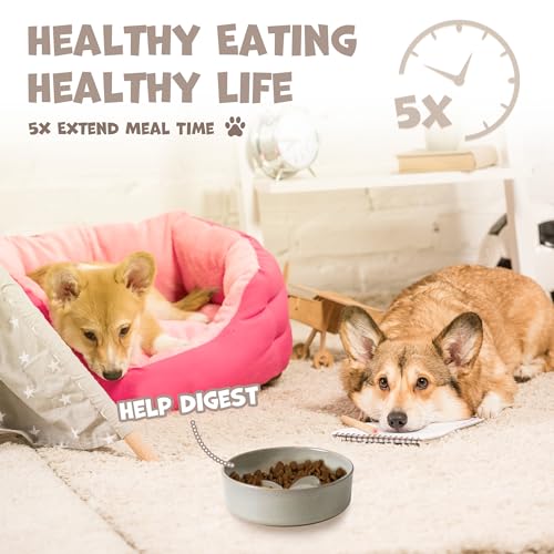 Elevated Ceramic Dog Bowls Set, Slow Feeder with Stand