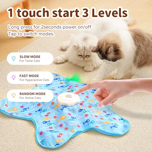 Interactive Touch Activated Hide and Seek Cat Toys for Indoor Cats, Blue - color: Blue