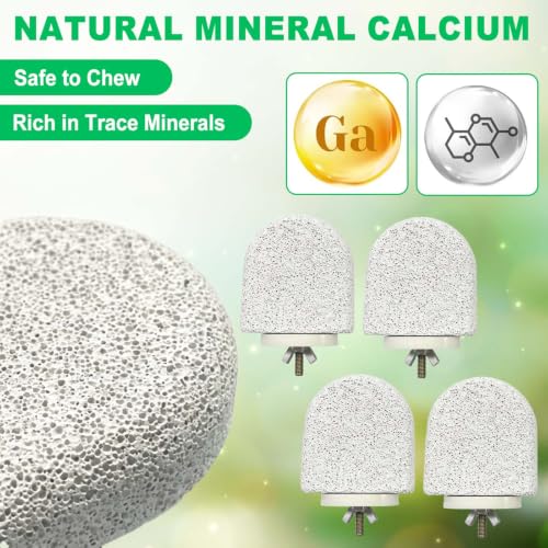 4Pcs Bird Beak Grinding Stone Lava Ledge Parrot Perch Stand Platform,Grey-S - color: 4Pack Grey | S