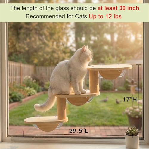 Cat Window Ladder, 3-Level Solid Pine Steps for Climbing and Bird Watching