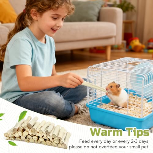 0.95Lb/430g Natural Sweet Bamboo Chew Toys for Rabbit Chew Sticks - size: 0.95lb(430g)