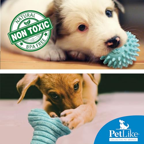 PetLike 8PCS Puppy Teething Toys Set - Interactive Dog Chew Toys with Ball & Cotton Ropes Safe & Durable Teething for Small Puppies(Blue) - color: Blue