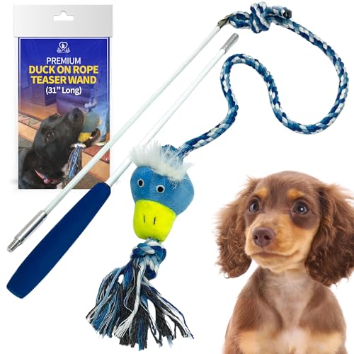 Pet Fit For Life 31" Flirt Pole for Dogs with Plush Duck Squeaky Toy - style: Duck Wand (Attachment Not Interchangeable)