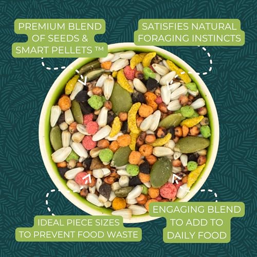 ZuPreem Sensible Seed Parakeet & Budgie Food, Variety Mixer, Small, 2 lb - size: 2 Pound (Pack of 1)