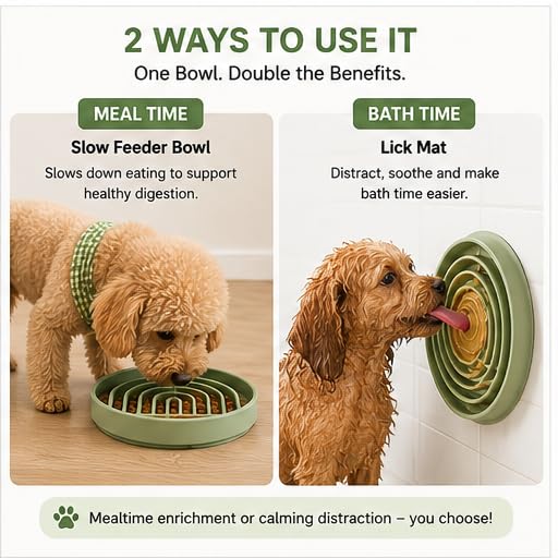 Moyelle Silicone Slow Feeder Dog Bowl for Small Breeds, BPA-Free, Silicone Suction Bowl for Fast Eaters, Dog Food for Fast Eaters, Dogs and Cats, Dry Food and Water Bowl, Dishwasher Safe (Green) - color: Green