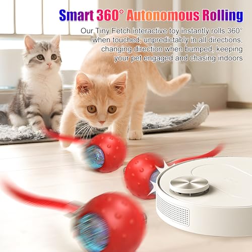 Tiny Fetch Dog Toy, Tinyfetch Interactive Dog Cat Toys Balls with Birdsong, 360° Smart Automatic Rolling Electric Dog Ball Toy, Fast Moving Balls Toys for Pets (Blue) - color: blue