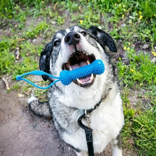 1 Pcs Dual-Action Canine Dental Prop, Bite and Brush Dental Toy for Dogs