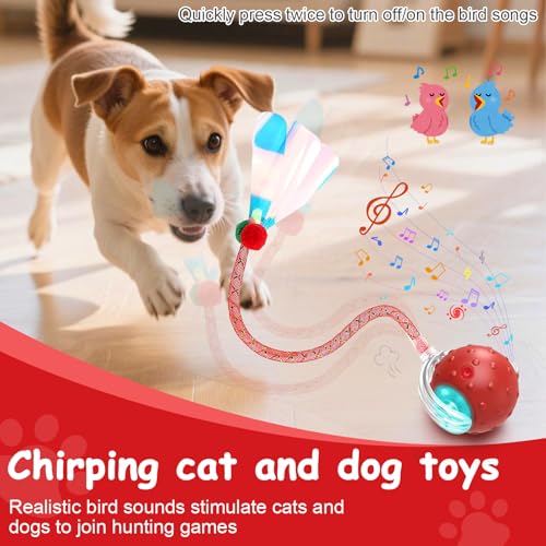 Interactive Cat Toys Smart Ball for Cats & Dogs! Now with 2 Rapid Tails. Features: 360°Auto-Rolling, Motion Activation& Bird Sounds. Perfect for Indoor Pet Exercise & Fun. (Yellow＆Green) - color: Yellow＆Green