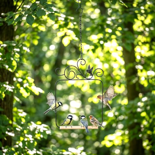 Hummingbird Swings and Perches 11.6x8.1in Humming Bird Swing