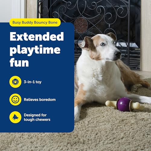 PetSafe Busy Buddy Bouncy Bone Treat Holding Dog Chew Toy, Medium - size: Medium, style: Bouncy Bone
